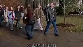 风雨哈佛路,女主的经历常人所不及