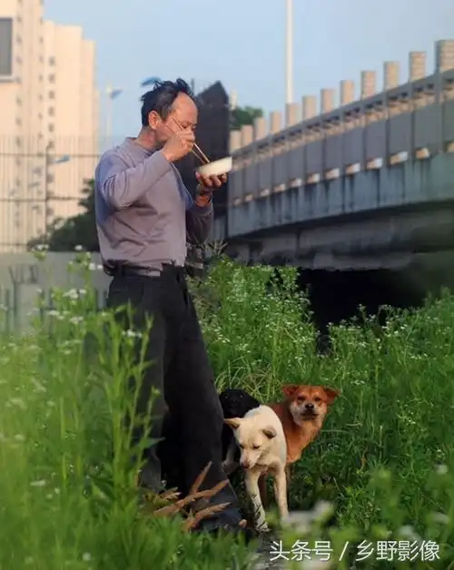 五旬老汉娶少妻,蜗居桥洞十年两儿两女,自叹人生赢家