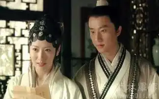 黄轩在红楼梦里演什么