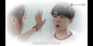 快把我哥带走到底是怎样的脑回路才能养成这样一个吕小雨
