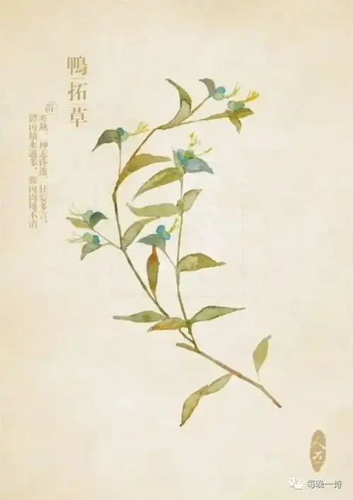 这些经典诗句,你不一定读过全诗
