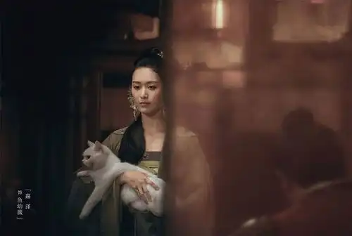 雪中悍刀行还原度排位鱼幼薇青铜,裴南苇白银,韩貂寺王者
