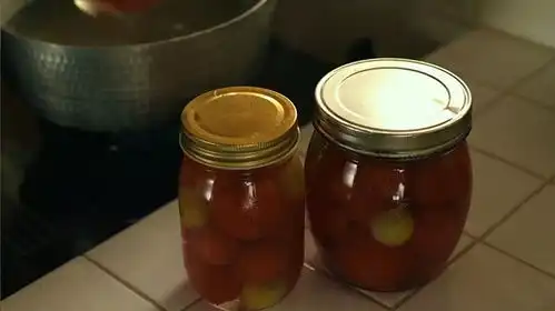 6小森林夏秋篇
