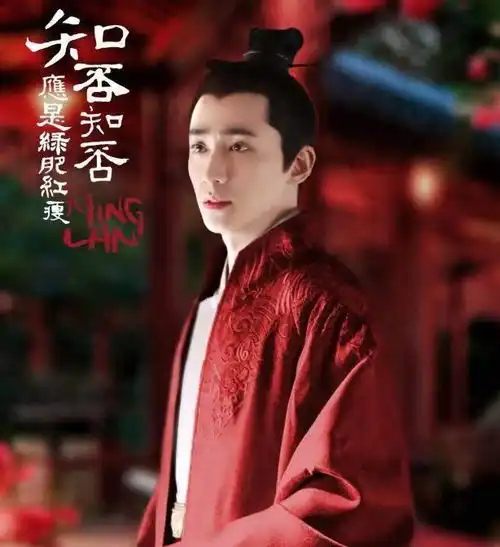 不同于剧中和申氏相爱,知否原著中齐衡再娶后,独自养大儿子
