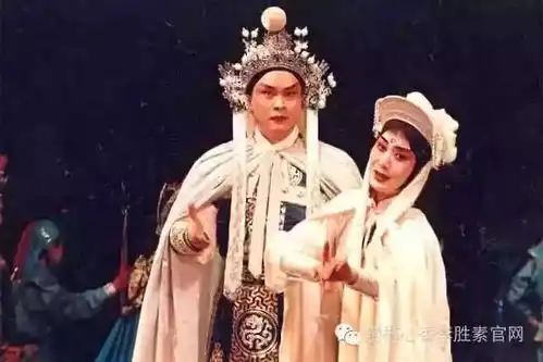 这位大咖声音美形象美,真是美翻啦
