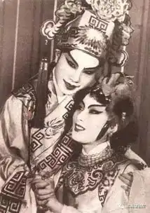 天上接走个贾宝玉,似一朵玉兰留芬芳