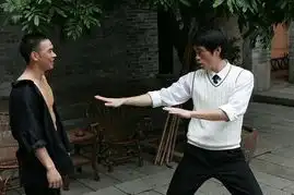 陈国坤李小龙传奇
