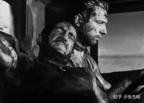 2018上海电影节有哪些影片值得一看