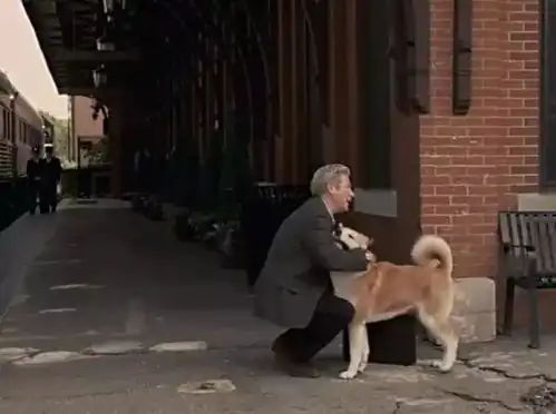 荐影忠犬八公的九年守候