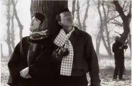 瞬息京华光影里的北京
