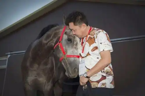 全中国最会玩儿的男人,一辈子顶别人八辈子
