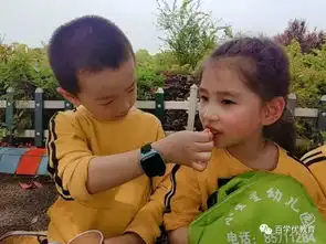 探究春天快乐相伴小星星幼儿园户外社会课堂
