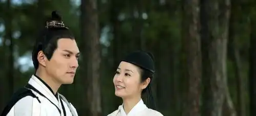 林心如捧了他7年不红,解约后一直演配角,今搭档杨紫再次翻红
