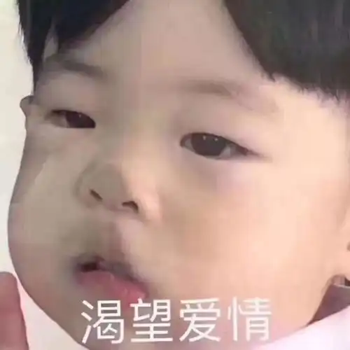 今日份的快乐源泉