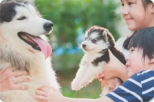 美赞臣育儿新概念科学无法解释的,当妈都得解释