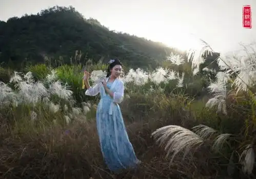 木棉道华服打卡绿野仙踪,清扬婉兮