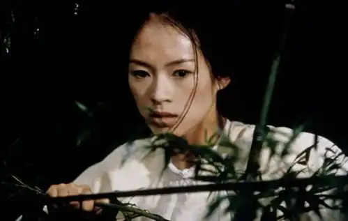 李安如果总停在一处,我怕丢掉带给电影的新鲜感
