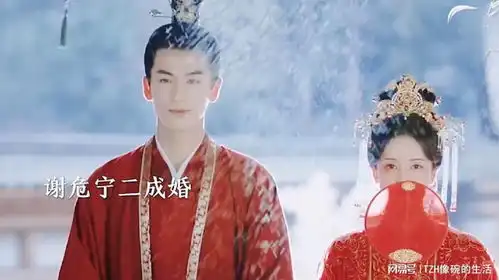 宁安如梦姜雪宁高调嫁给谢危,张遮卑微挽留,深夜告白反被拒绝
