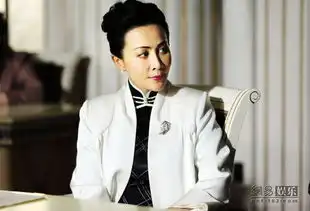 开罗宣言主打时尚谍战元素刘嘉玲胡军主演