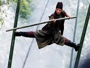 武侠大戏十面埋伏章子怡
