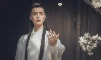 等到烟暖雨收主题曲片尾曲是什么配乐李炜段林希献声

