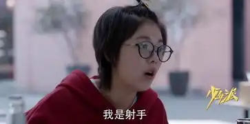 少年派第11集分集剧情电视剧
