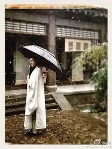 为何看太子妃升职记会屡屡想起梅长苏和芈月
