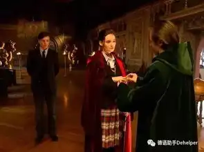 假期影院德国奇幻冒险电影g调的玛瑙红rubinrot2013
