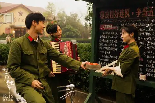 芳华这是每一个人的芳华看过的人都哭了
