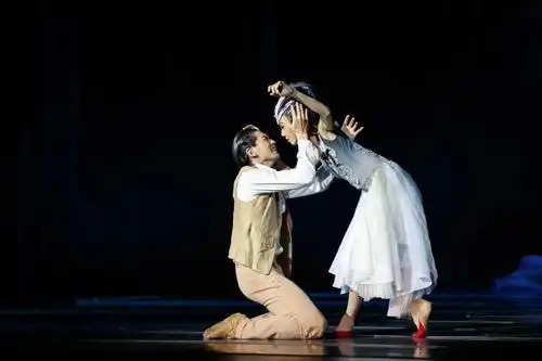 重磅舞剧永不消逝的电波朱鹮开启百场驻演模式
