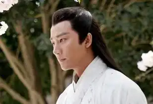 4部被迫停播的电视剧,胡歌占一部,你看过哪一部
