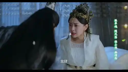 双世宠妃3全剧最意难平的一对竟是女皇和侍卫,到死也没表白