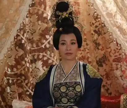 外室奉子上位,太子妃委屈不能求全,只能鱼死网破