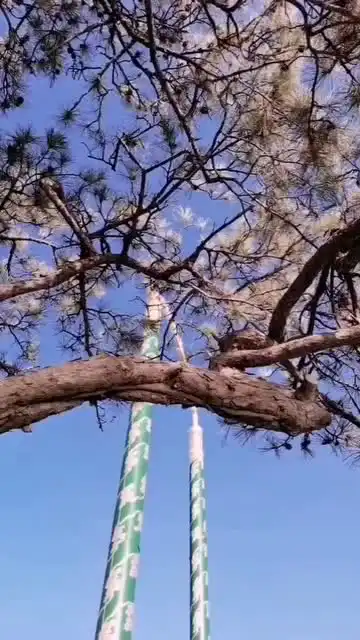 这视频火了颐和园探海灯杆