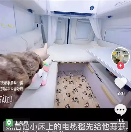 三胎妈妈花36万带娃蜗居,每天开房车接送女儿上下学是有钱任性还是肯花心思
