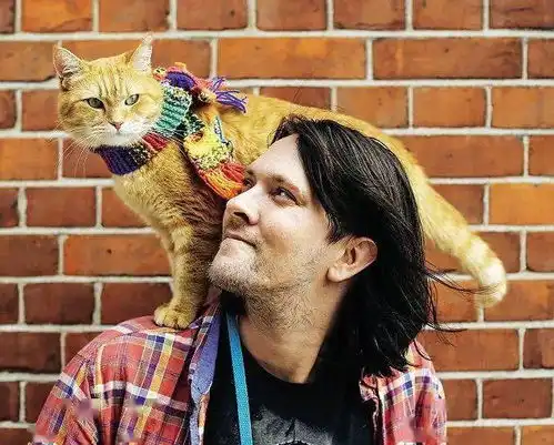 治愈千万人的流浪猫鲍勃去世,一猫一人相互救赎的故事,迪士尼都想买版权