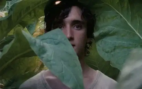 关注戛纳亲闺女导演pick一下
