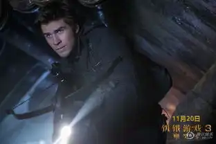 饥饿游戏3下对决版预告大表姐泣血美哭
