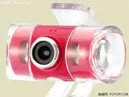 粉红浪漫蓝妖火凤凰延续迷人情愫
