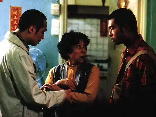 胡枫与罗兰的美丽谣言