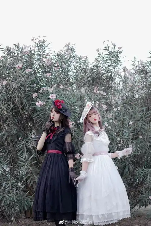 lolita难忘的美好时代
