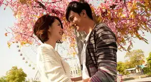 爱情自有天意官网电视剧