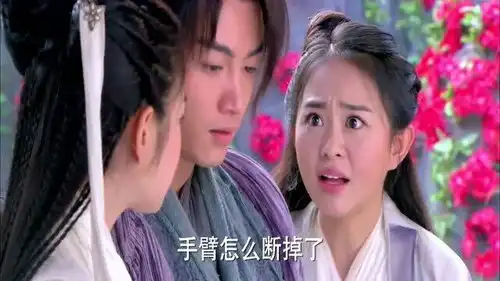 新神雕侠侣看见杨过失去了一条手臂,陆无双不淡定了,跟郭芙吵起来了