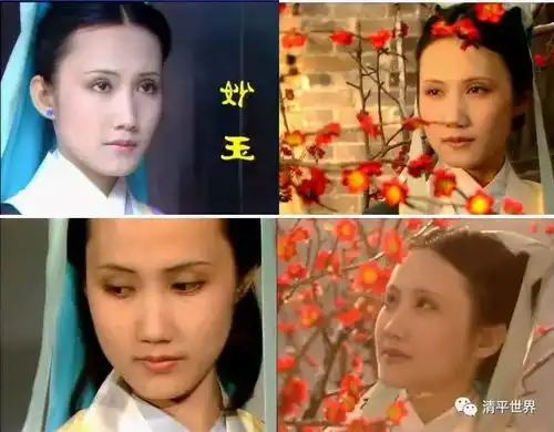 戏说红楼梦第一回之二