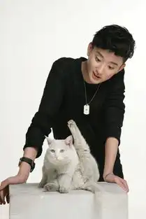 他曾是杨洋劲敌,抛弃学业为进娱乐圈,今形象走偏事业惨遭滑铁卢
