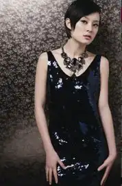 孙俪失意国际艾美奖华语演员连打8年酱油
