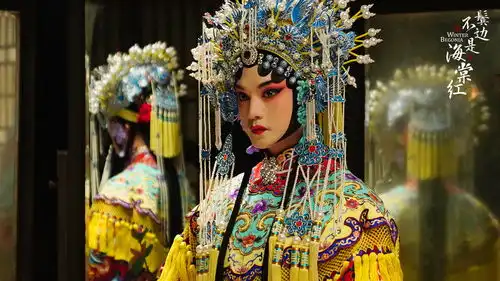 鬓边不是海棠红口碑两极分化,缺点很多,优点也不少
