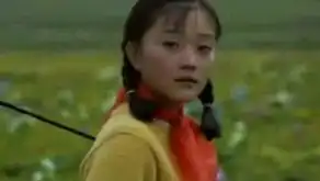 网曝李小璐贾乃亮领证现场照片李小璐情史大揭秘
