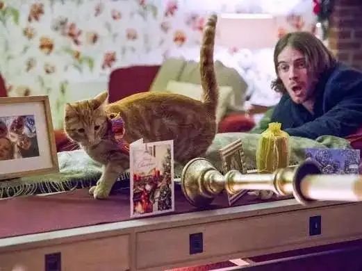 11月电影大轰炸你装备好了吗