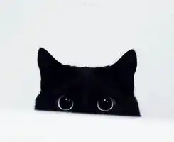 适合乖乖女使用的唯美可爱风的qq微信头像图片素材